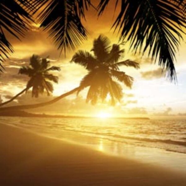 260X260_LOUNGE & CHILLOUT (Medium)